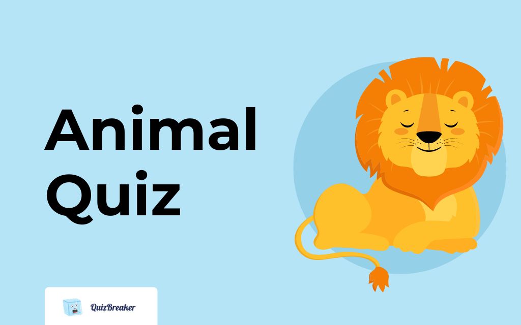 Animal Quiz